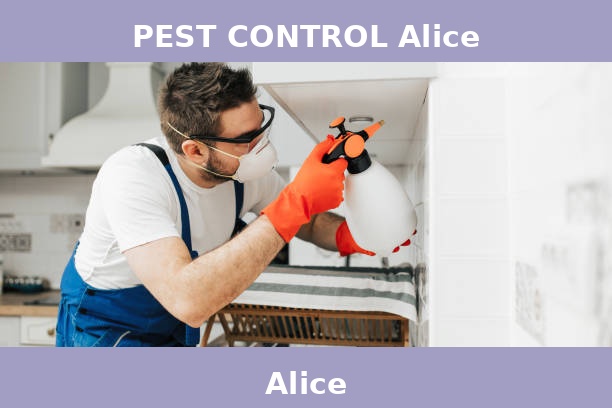 PEST CONTROL Alice